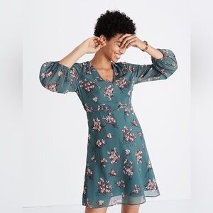 Madewell Marguerite Dress in Butterfly Garden 🪴 | Green | Size XXS 00